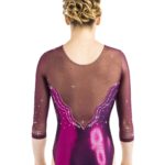 Turnanzug, Wettkampfanzug, Gymnastikanzug, justaucorps, leotard, turnpakje