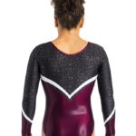 Turnanzug, Wettkampfanzug, Gymnastikanzug, justaucorps, leotard, turnpakje