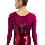 Turnanzug, Wettkampfanzug, Gymnastikanzug, justaucorps, leotard, turnpakje