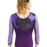 Turnanzug, Wettkampfanzug, Gymnastikanzug, justaucorps, leotard, turnpakje