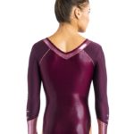 Turnanzug, Wettkampfanzug, Gymnastikanzug, justaucorps, leotard, turnpakje
