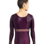 Turnanzug, Wettkampfanzug, Gymnastikanzug, justaucorps, leotard, turnpakje