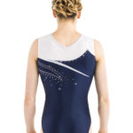 Turnanzug, Wettkampfanzug, Gymnastikanzug, justaucorps, leotard, turnpakje